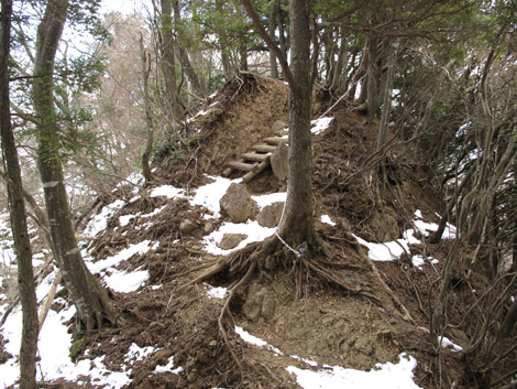 20170113hike (266)